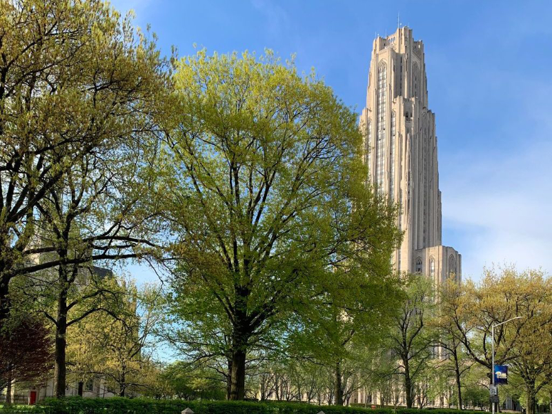 Poerio public and private bidding